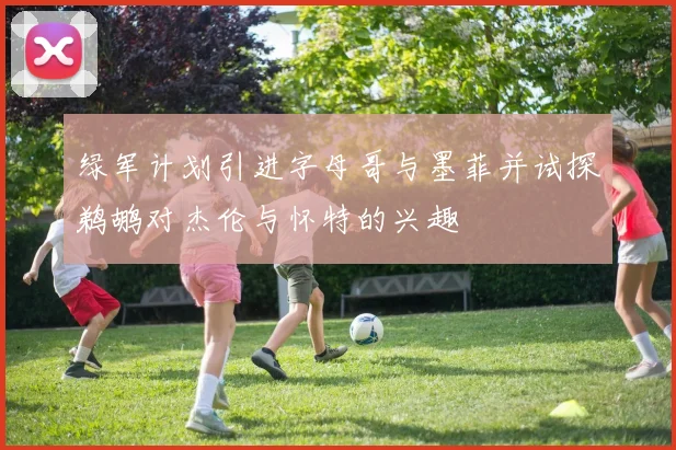 绿军计划引进字母哥与墨菲并试探鹈鹕对杰伦与怀特的兴趣